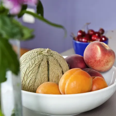 巴黎肖蒙山丘阿德吉奥公寓式酒店 公寓式酒店 4*