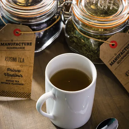 巴黎肖蒙山丘阿德吉奥公寓式酒店 公寓式酒店 巴黎